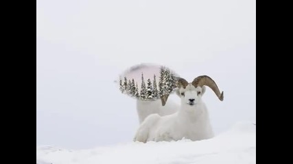 Winter Time
