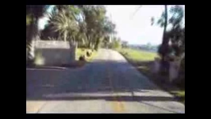 Mini Virtual Trop