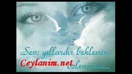 sevenlere 