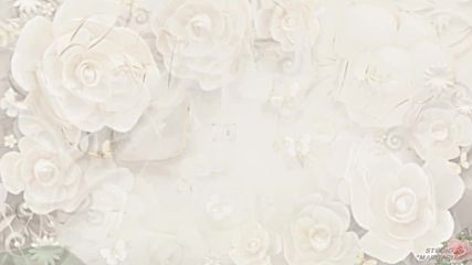 Бесплатно - Розы Белые! Цветы счастья для тебя!