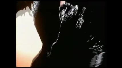 U2 - The Fly