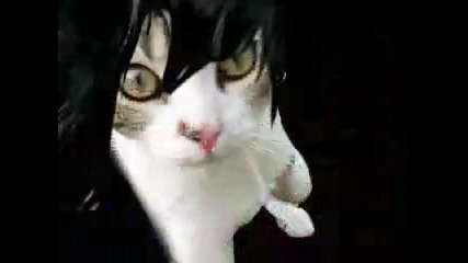 Oh No My Kitty is Emo