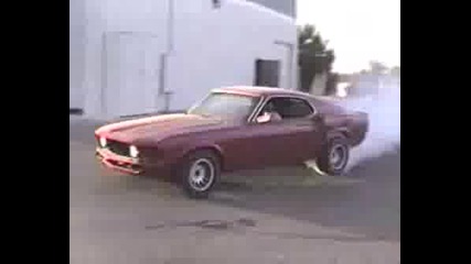 Stupid Driver