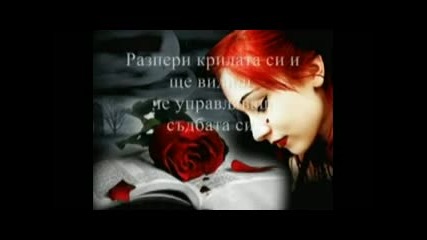 Честит Рожден Ден_xvid