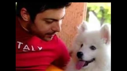 Tose Proeski - Ledena