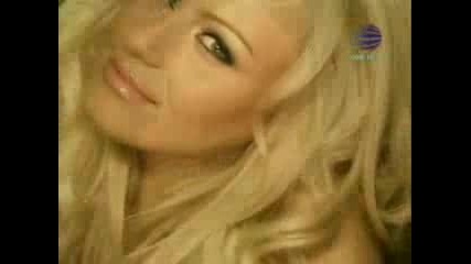 Kamelia - vinagi