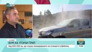 Умъртвяват близо половин милион кокошки край Велико Търново