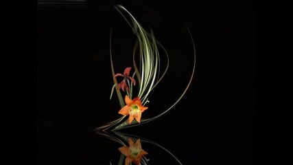 Gerard Joling - Corazon