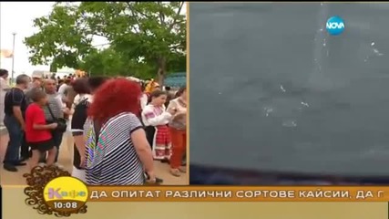 На кафе от Тутракан, където се отбелязва празникът на кайсията (03.07.2015)