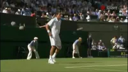 Best Tennis Highlights - Wimbledon 2009(quarterfinals)