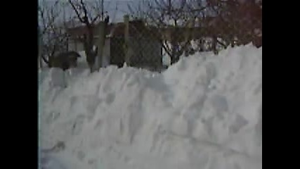 Pic 0001