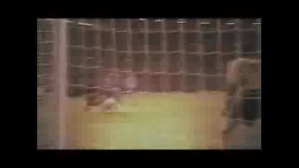 Manchester United - Best Goals 2005/2006