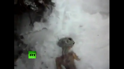 Изумително видео: Мъртво извънземно намерено в Русия