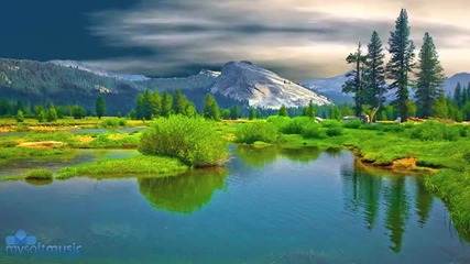 Meditation Relaxing Music
