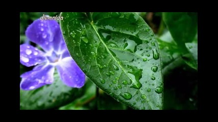 Falling Through The Rain