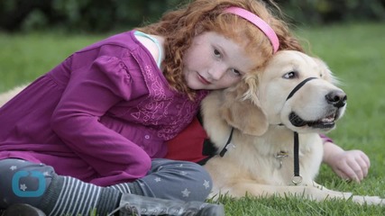 Pets At Home Is Top Dog As Profits Hit Top End Of Expectations