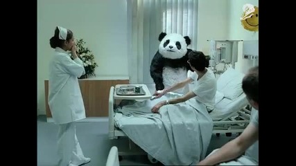 Никога не казвай Не на панда - смях 