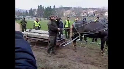 Фриц - Стрелча 16.03.2013.