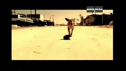 Korn - Word Up