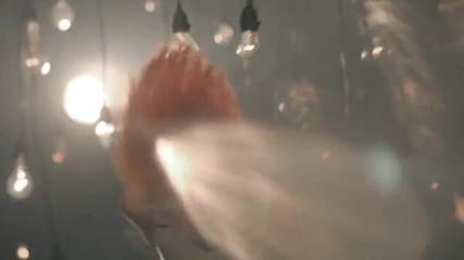 Zedd - Stay The Night ft. Hayley Williams