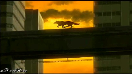 Wolfs Rain Opening [hd]