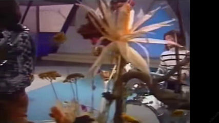 Shocking Blue - Venus Official Video