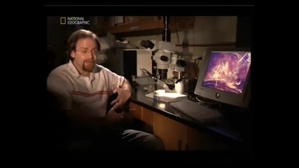 Naked Science - Human extinction 5
