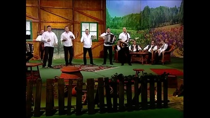 GOCI BEND - ZADNJA LJUBAV (BN Music Etno - Zvuci Zavicaja - BN TV)