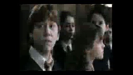 Ron and Hermione-Youll Never Be Alone