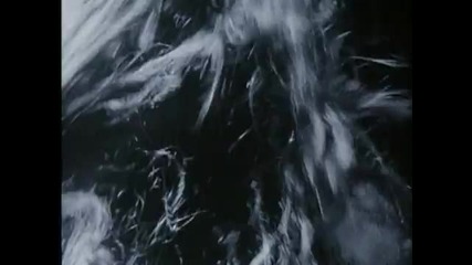 Warrior Soul - We Cry Out 
