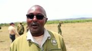 За да ги предпазят от изчезване: В Кения поставиха GPS-и на жирафите