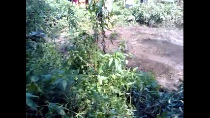 Mov005