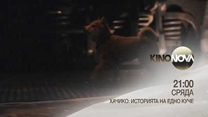 "Хачико: Историята на едно куче" Xmas от 21.00 ч. на 1 януари, сряда по KINO NOVA
