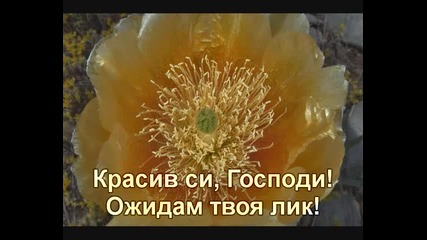 Красив си, Господи (субтитри) 