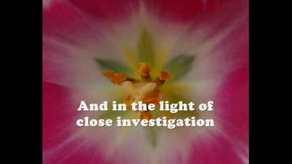 Kenny Rogers - Eyes That See In The Dark 