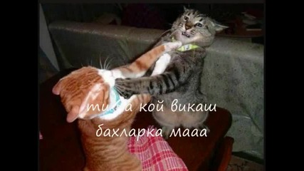Смях на Макс