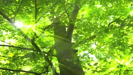 Изгрев! ... ( James Last and Richard Clayderman music) ... ...