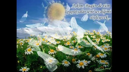 seker kiz