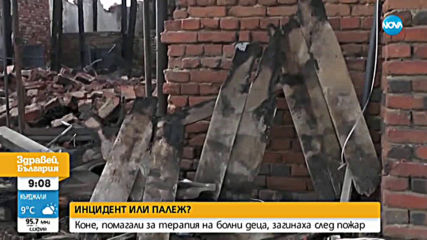 Коне, помагали за терапия на болни деца, загинаха след пожар - инцидент или палеж?