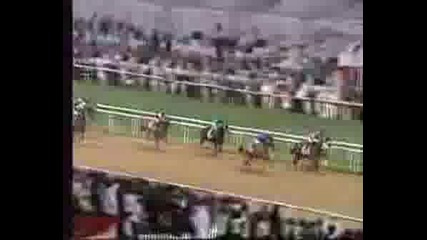 Победителят В Dubai World Cup / Electrocut