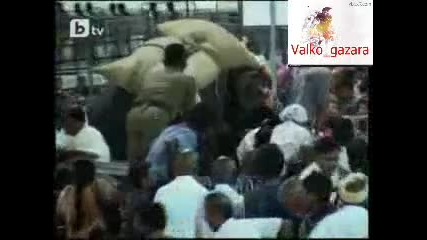 Слон се врязва в тълпа с хора в Индия