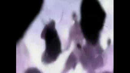 Claymore