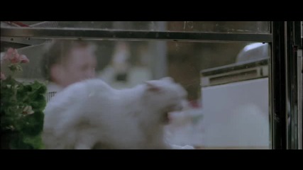 LET THE RIGHT ONE IN TRAILER 2008