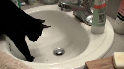 Котета в мивката (: