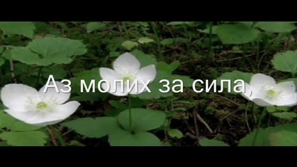 Размисли от нета