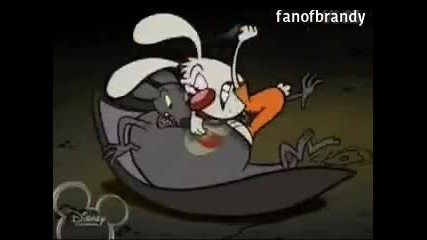 Brandy amp Mr Whiskers Episode P - 3011a The Curse of the Vampire Bat