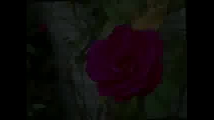 Loreena McKennitt - Never - Ending Road