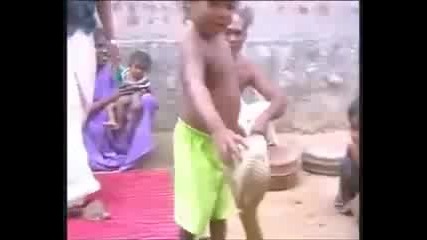 Само децата от Индия си играят с кобри,а не с кукли [шок]