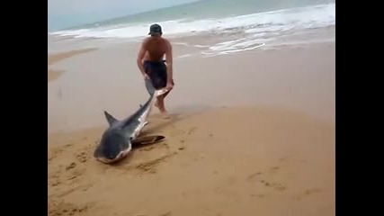Смелост се иска за това ,но върна акулата към живота!