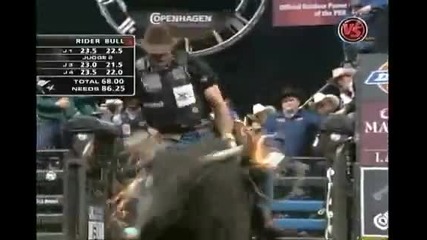 Adriano Moraes Vs Say I Wont Gunner 